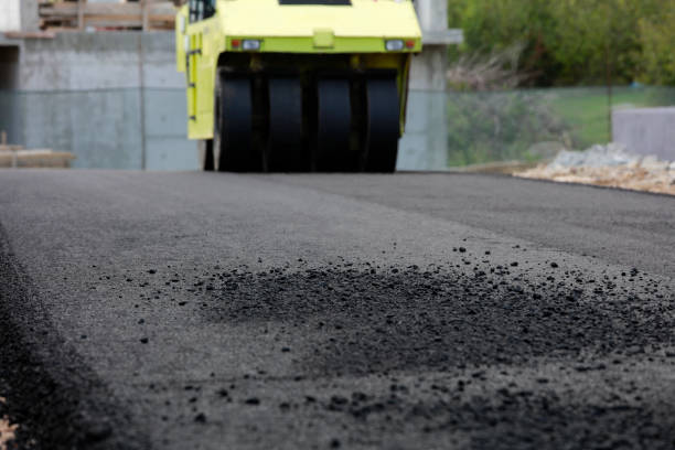 Best Decorative Driveway Pavers  in Thief River Falls, MN