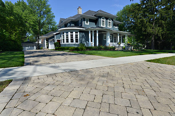 Best Driveway Pavers Near Me  in Thief River Falls, MN