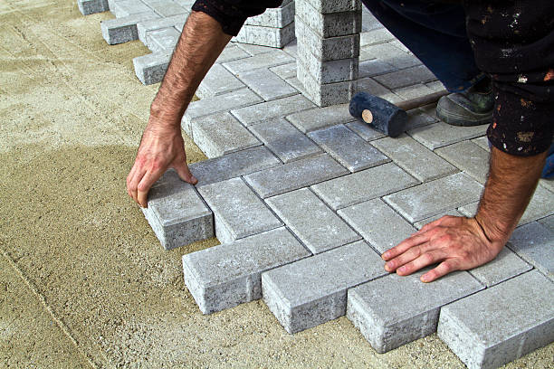 Best Brick Driveway Pavers  in Thief River Falls, MN