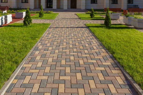 Best Concrete Paver Driveway  in Thief River Falls, MN