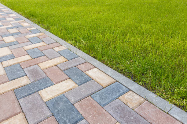 Best Driveway Paving Contractor  in Thief River Falls, MN
